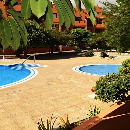 Alquilaencanarias El Medano Sotavento, Great Terrace And Beach Eksteriør bilde